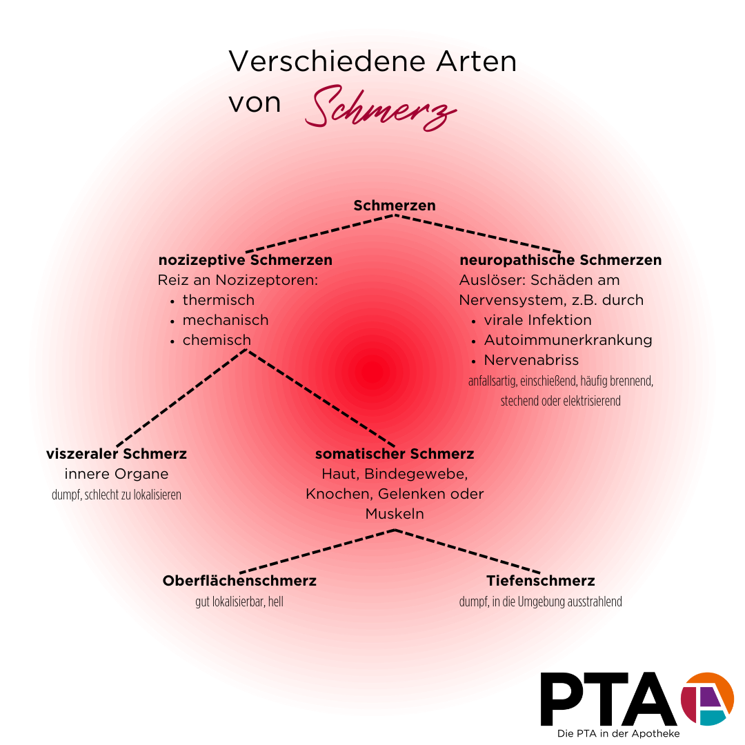 Eine Grafik, die die Unterteilung von Schmerz in verschiedene Arten zeigt