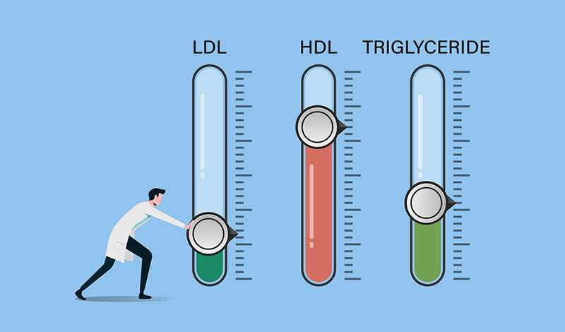 Drei Skalen, auf denen ein Männchen etwas einstellt. Die LDL-Skala stellt es niedrig ein. Die HDL-Skala hoch. Die Triglycerid-Skala niedrig, aber etwas höher als die LDL-Skala.