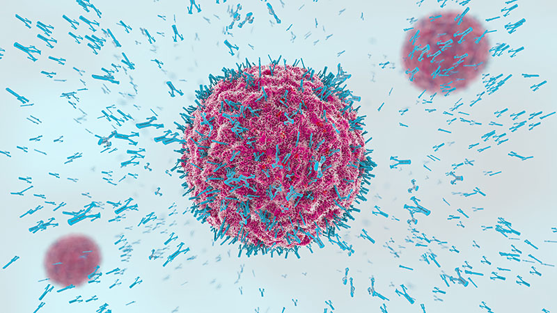 3D-Illustration von Antikörpern, die an ein Virus binden