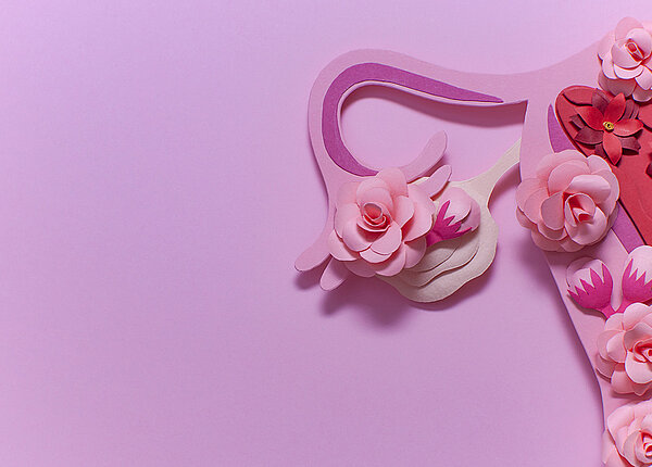 Weibliche Geschlechtsorgane aus rosa Kunstblumen gefertigt