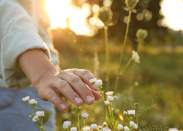 Frau geht durch eine Blumenwiese und streift mir ihrer Hand Blumen.