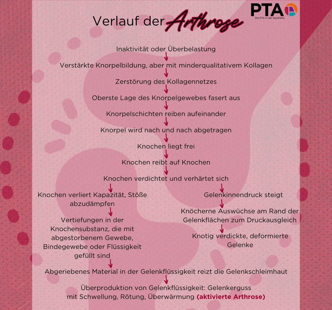 Der Verlauf einer Arthrose von der Überbelastung bis zur aktivierten Arthrose als Flussdiagramm