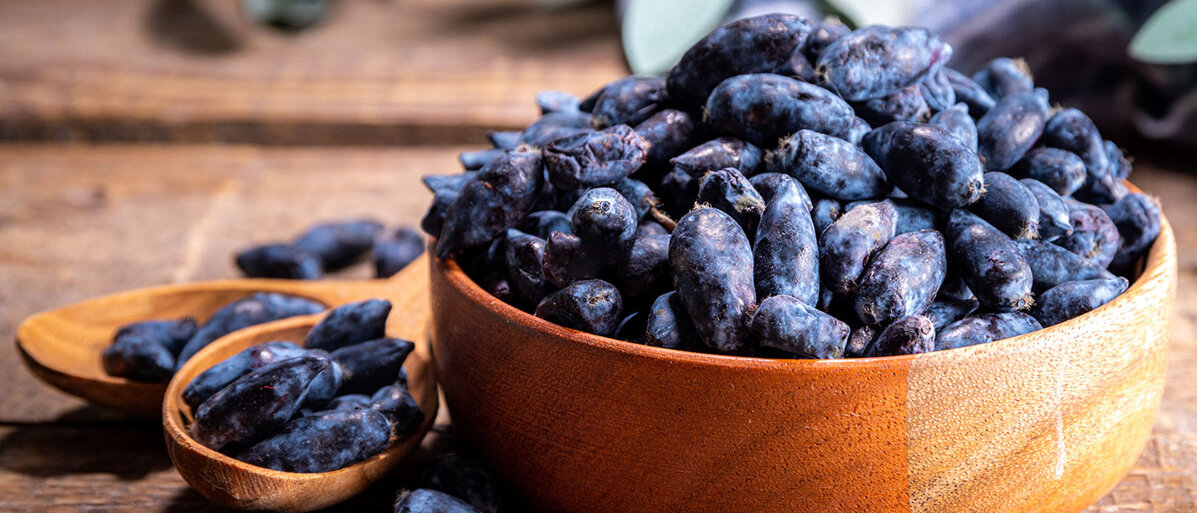 blaue Beeren in einer brauner Schuessel. Links daneben liegen zwei Holzlöffel und auf der vorderen liegen ebenfalls blaue Beeren