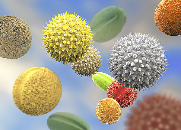 3D-Illustration von verschiedenen Pollen in der Nahaufnahme