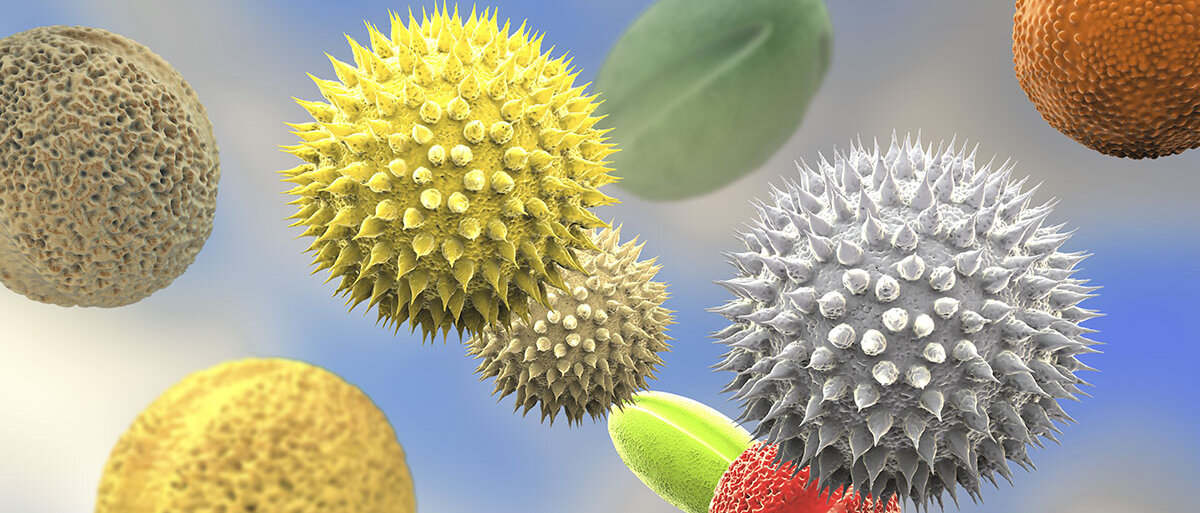 3D-Illustration von verschiedenen Pollen in der Nahaufnahme