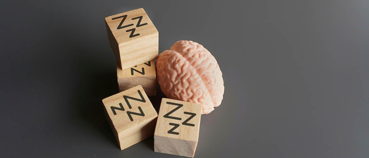 Chronische Schlafstörungen erhöhen das Risiko fĂŒr Demenz. Ein kleines Modell eines Gehirns, daneben liegen HolzwĂŒrfel, auf die mehrere Buchstaben Z aufgemalt sind.