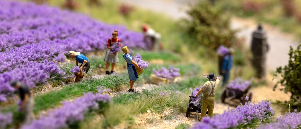 Verschiedene kleine Holzfiguren stehen in einem Lavendelfeld