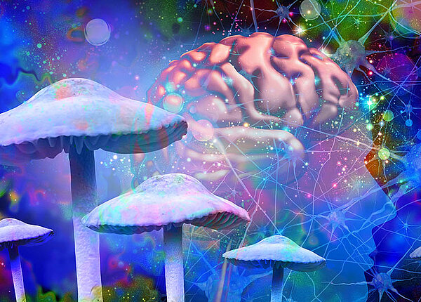 Die Wirkung von Psilocybin aus psychedelischen Pilzen auf das Gehirn Pilze vor einem Gehirn vor einem ĂŒbermĂ€Ăig bunten Sternenhimmel