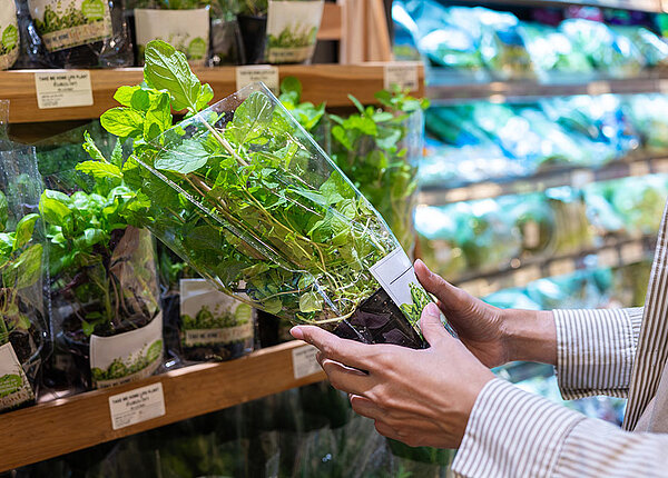 Frische KrÀuter aus dem Supermarkt Frau im Supermarkt vor KrÀuterregal it Topf in der Hand