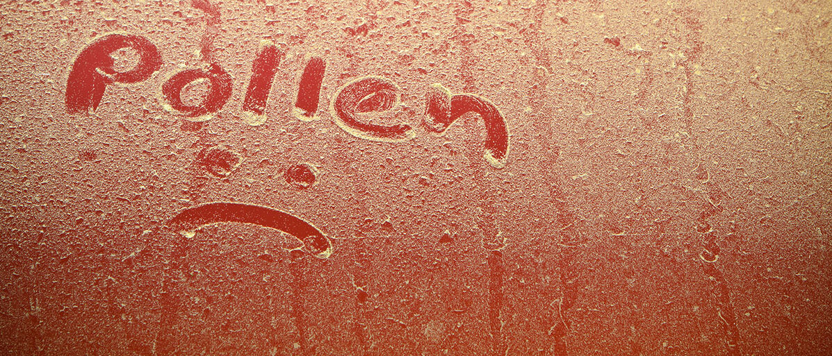 Autoscheibe voller Pollen, auf der das Wort Pollen und ein trauriger Smiley m gemalt wurde