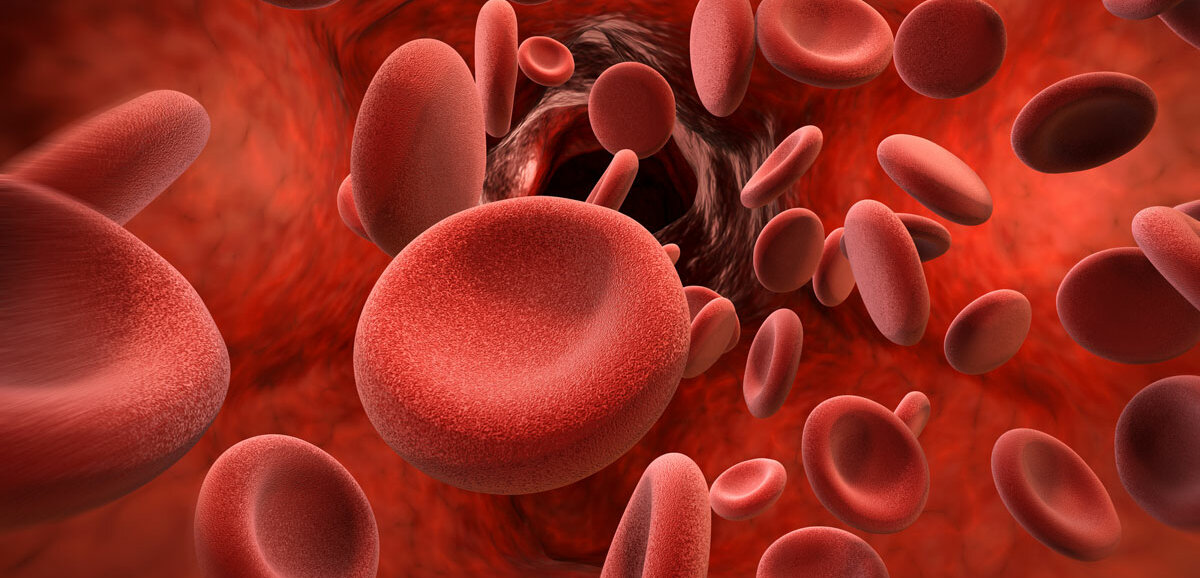 Thrombozyten in der Blutbahn