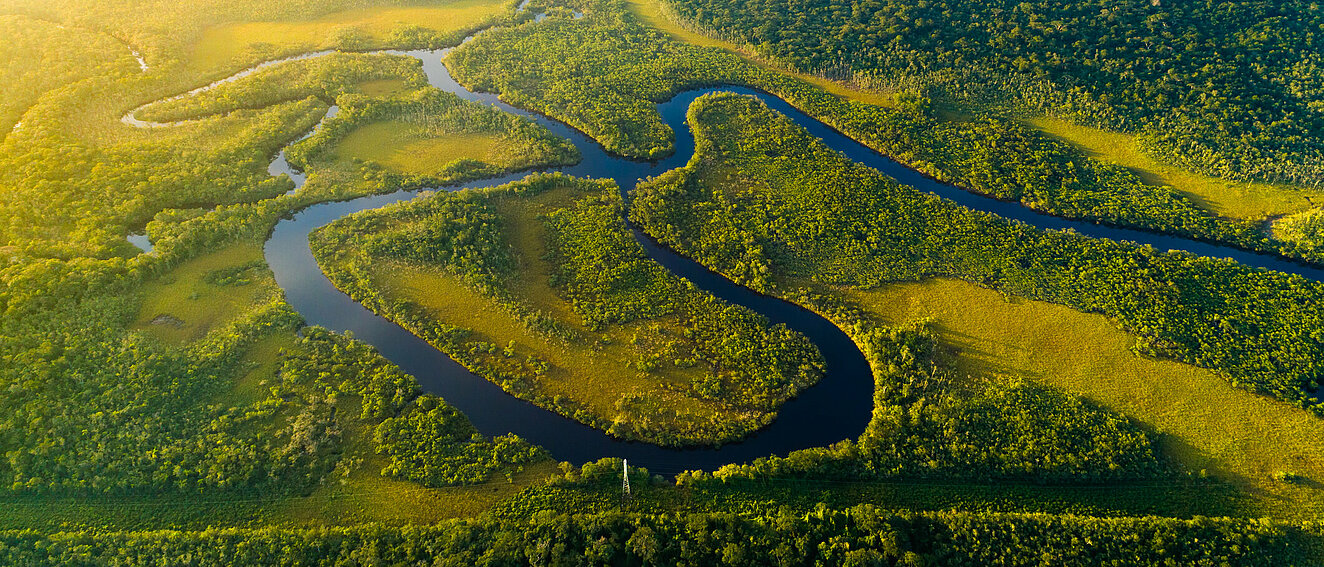 Der Amazonas von oben