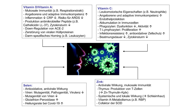 Eine Grafik immunrelevanter Mikronährstoffe bei Covid-19.